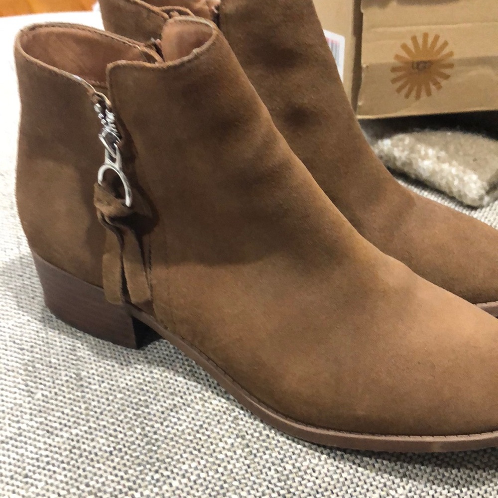 Steve Madden suede booties